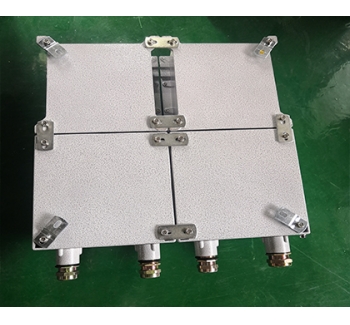 施工現(xiàn)場檢修型防爆電源箱 粉塵防爆動力檢修插