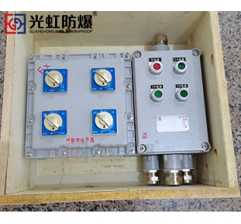 粉塵防爆配電箱 現(xiàn)場防爆動(dòng)力配電箱