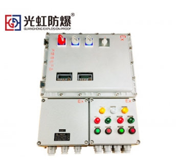 粉塵氣體防爆配電箱 防爆照明動(dòng)力儀表控制箱