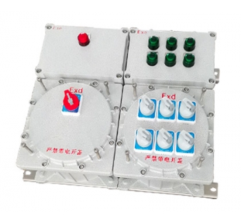 CT4/CT6防爆照明配電箱（戶外壁掛式）